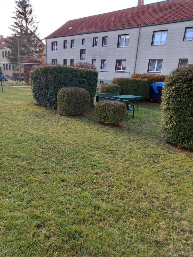 Pine Crest Ferienwohnung ハルツゲローデ エクステリア 写真